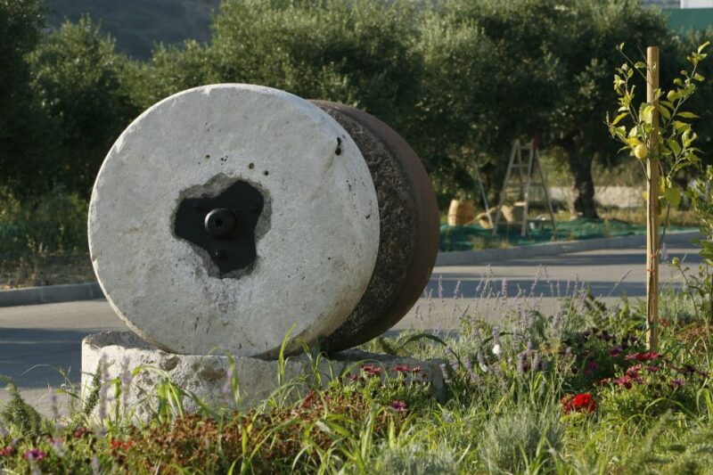 The Terra Creta Olive Oil Experience Tour - Booking and Cancellation