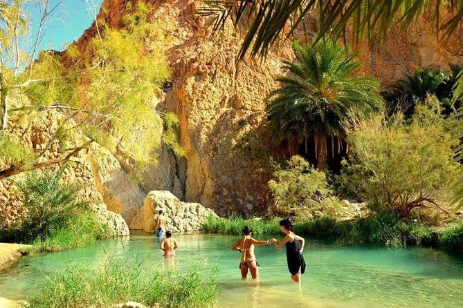 The Tunisian South Between Oasis and Mountain: 3 Days / 2 Nights Douz and Tozeur - Guides and Transportation