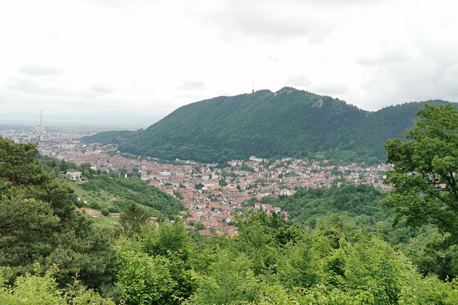 Things to Do, Transylvania & Draculas Castle Tour in One Day! - Castle Visit Information