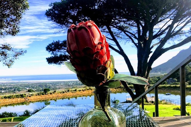 Three Day Private Tour: Table Mountain, City, Cape Peninsula and Winelands - Day 3: Winelands Discovery