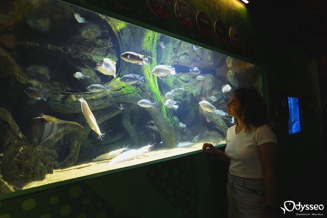 Ticket to the Largest Oceanarium of the Mascarene Islands - Reviews and Recommendations