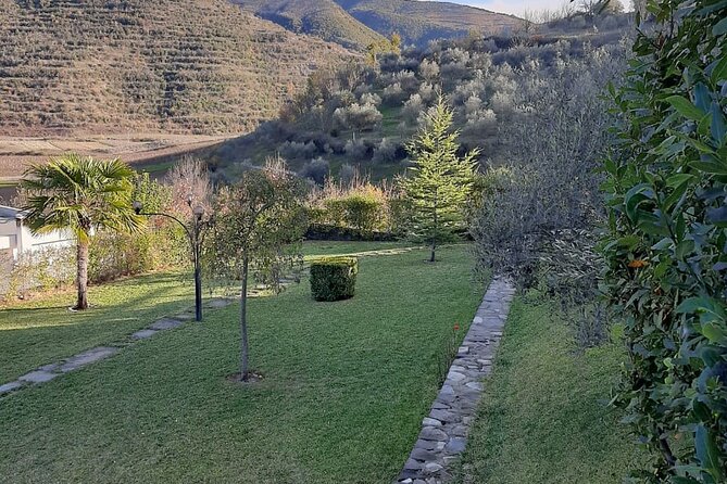 Tirana Small-Group Berat City Tour With Wine Lunch - Vineyard Strolls and Wine Tasting