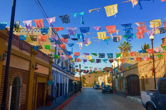 Todos Santos Day Trip From Cabo San Lucas - Inclusions and Additional Information