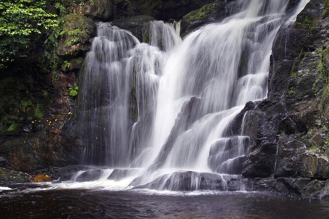 Torc Mountain & Waterfall Hike. Killarney. Private Guided Group. 3½ Hours. - Meeting and Pickup Information
