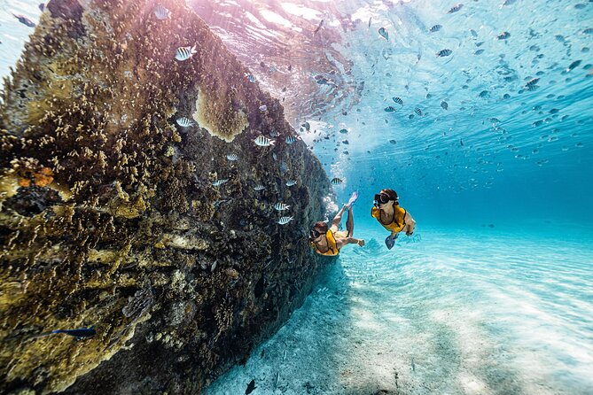 Total Snorkel and Jet Ski Tour Over Cancun Bay - Jet Ski Experience