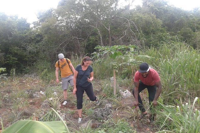 Tour a Jamaican Farm - Additional Information