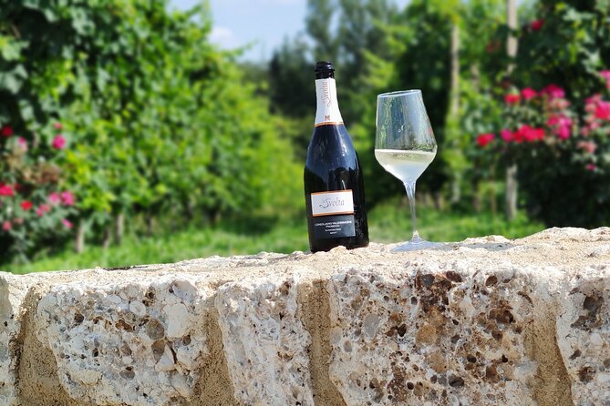 Tour and Tasting in the Hills of Prosecco Superiore DOCG - Discovering Local Prosecco Production