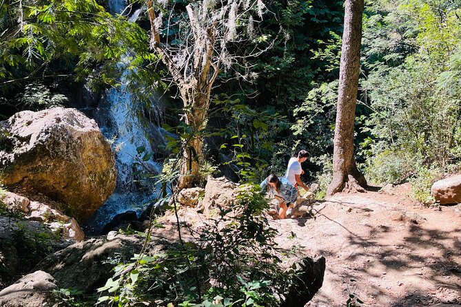 Tour Cola De Caballo Waterfalls, With Guide, Transfer and Tickets - Guide Performance and Experience