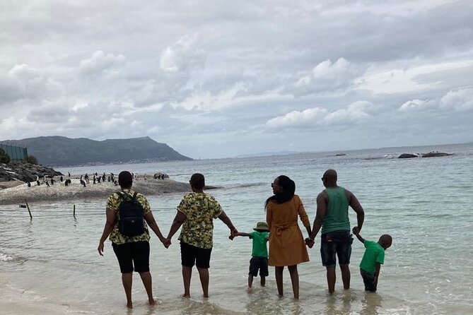 Tour From Cape Town to Penguin Beach, Table Mountain, Campsbay - Accessibility and Participation