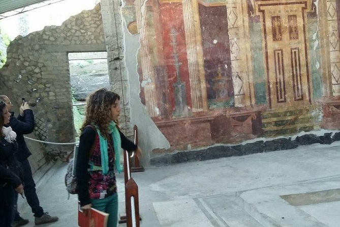 Tour in the Villa of Poppea With an Archaeologist - Inclusions and Accessibility