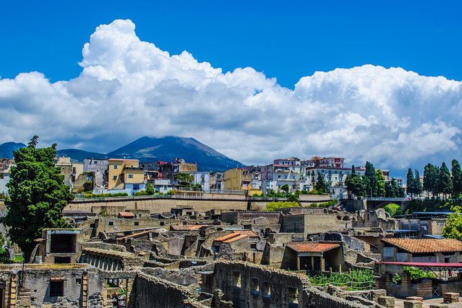 Tour of Herculaneum Skip the Line With Official Guide - Visiting Parco Acheologico Di Ercolano