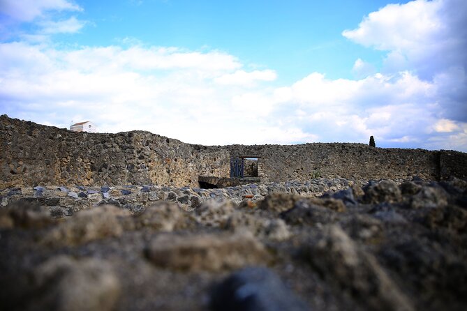 Tour of Pompeii With Skip the Line Tickets & Exclusive Guide - Pricing and Cancellation Policy