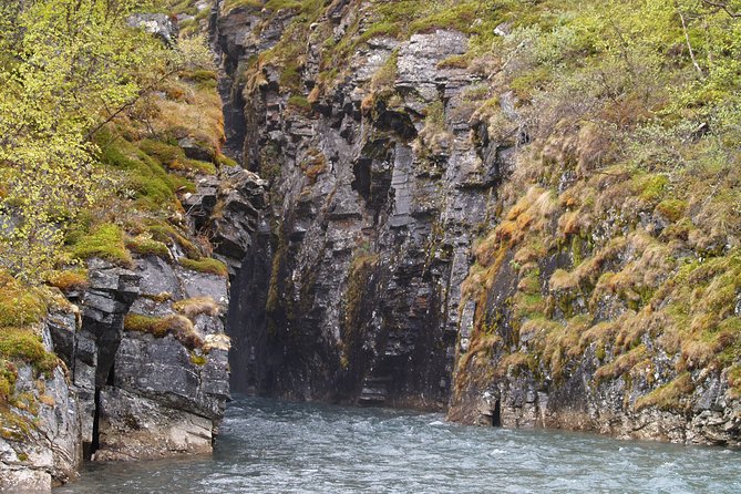 Tour to Abisko National Park - Tour Inclusions and Accessibility