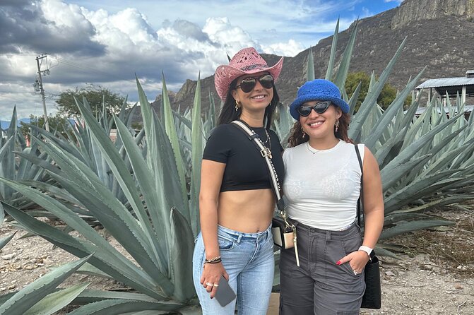 Tour to Hierve El Agua and Mezcal Distillery (Small Groups) - Traveler Reviews and Feedback