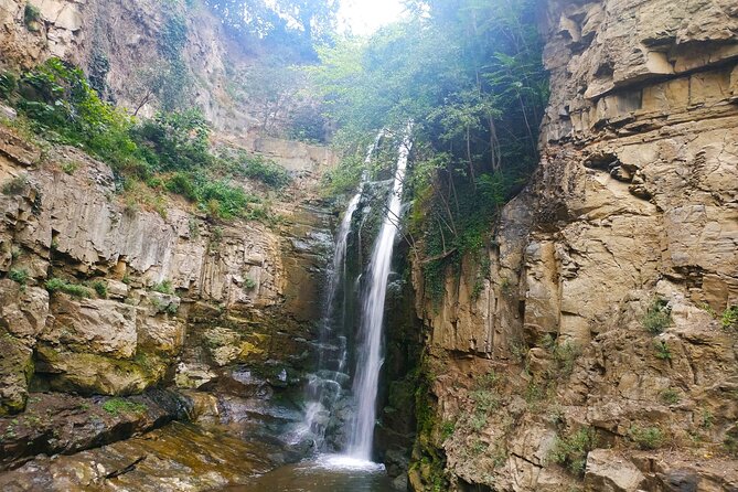 Tour to Tbilisi National Park (Zedazeni, Sabaduri Forest, Sioni Lake, Martkopi) - Sabaduri Forest: Nature Trails