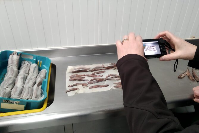 Tour to the Anchovies Factory and Santoña Marshes With Tasting - What to Expect