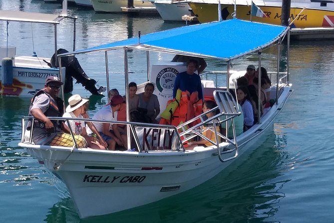 Tour to the Arch From Cabo San Lucas - Traveler Reviews and Feedback