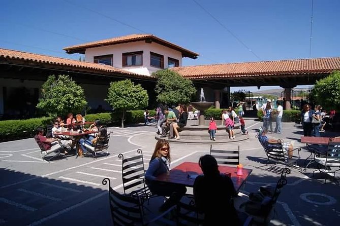 Traditional Cheese and Wine Tour in English, Leaving Querétaro - Tour Experience