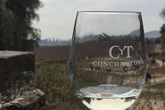 Traditional Tour at Concha Y Toro Winery - Highlights and Inclusions