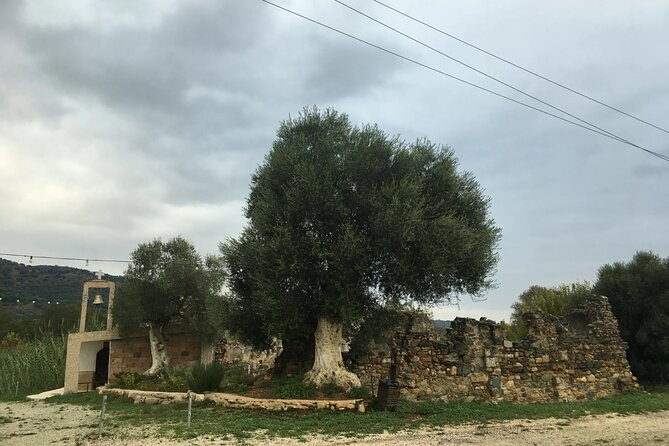 Traditional Villages of Chania Private Tour to Explore Pure Crete - Pricing Details