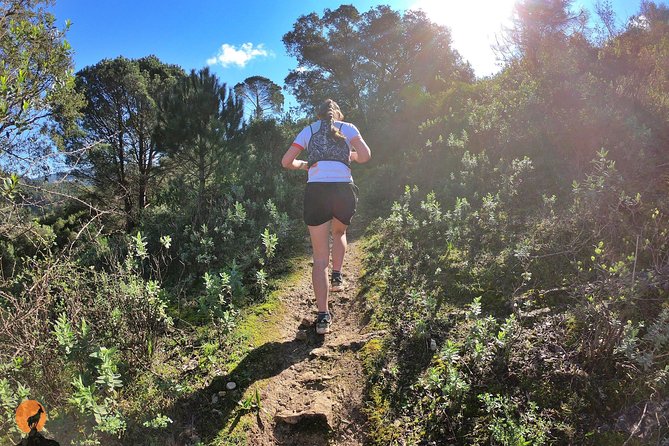 Trail Running in Coimbra - Safety Considerations on Coimbra Trails