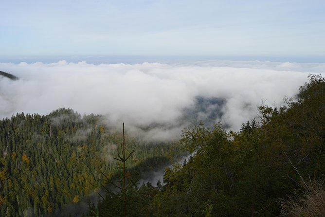 Transfagarasan, Vidraru and Poenari Fortress Tour From Sibiu - Reviews and Ratings