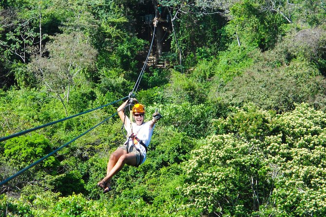 Transfers, Zip Line and Monkey Park - Monkey Park Exploration