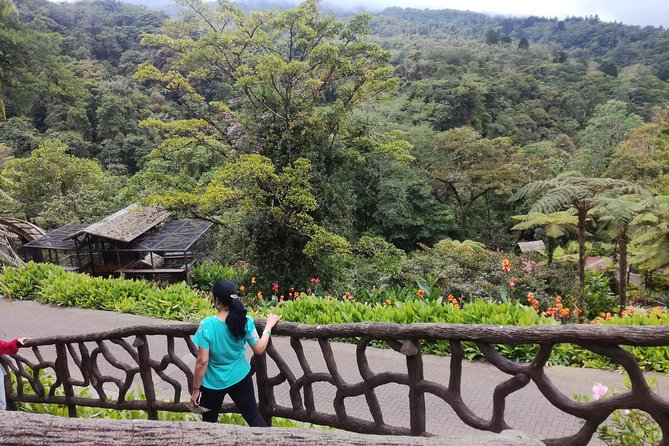 Transport From San Jose to La Fortuna - Availability and Cancellation Policy