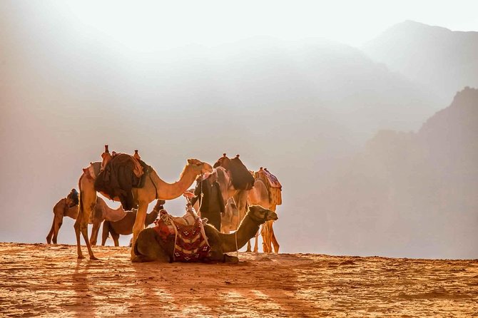 Treasures of Jordan Tour-7 Days Discover Petra & Dead Sea & Wadi Rum With Hotels - Transportation Information