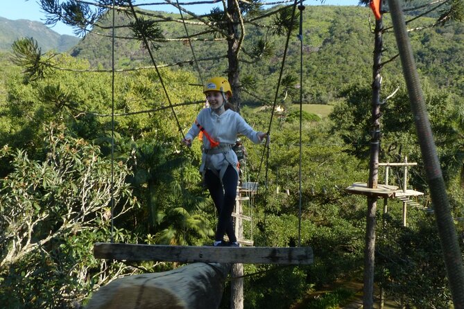 Tree Climbing Among the Araucarias - Ascending the Majestic Araucaria Trees