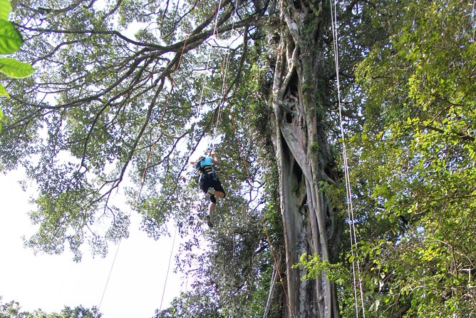 Tree Top Climbing Monteverde - Questions About Your Stay