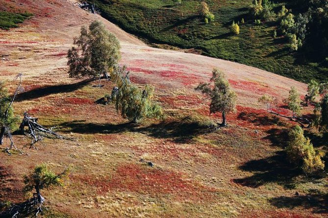Trekking in Tusheti - Accommodation Details