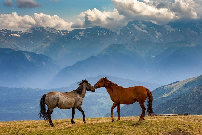 Trekking Tour From Tusheti to Kazbegi With Only Two Overnight Stays in Tents. - Meals Included