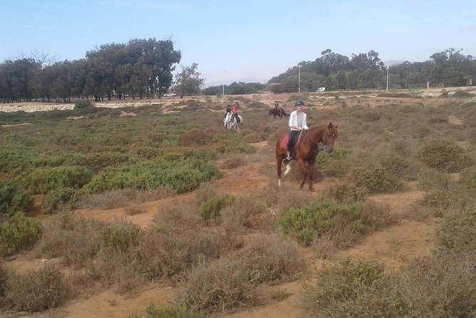 Trip 2 Hours to Natural Area of Agadir City (The Price for Both Riders) - Pickup Information