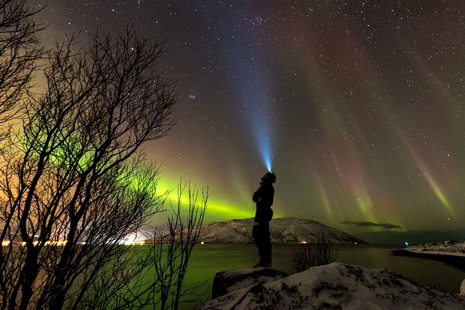 Tromsø Norway - Private Northern Lights Tour With Local Guide - Meeting and Pickup