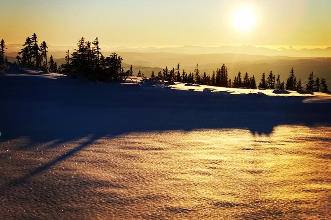 Trondheim Small-Group Cross-Country Skiing Adventure - Personalized Skiing Guidance From Experts