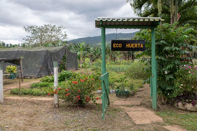 Tropical Cooking Classes - Accessibility Information