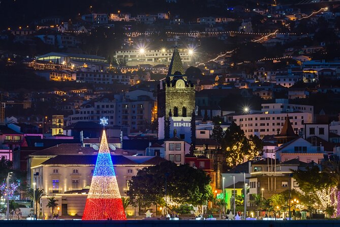 Tuk Tuk Funchal Magic Christmas Lights Review - Accessibility and Participation