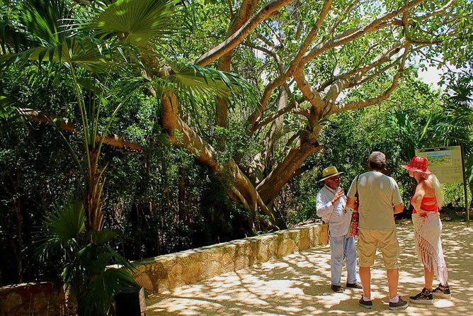 Tulum and Cenote Casa Tortuga Day Trip - Traveler Feedback
