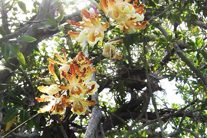 Tulum Archaeological Site & Sian Kaan Muyil Tour From Tulum - Health and Safety Guidelines