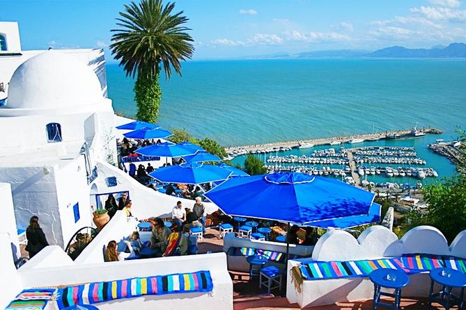 Tunis: Carthage, Bardo Museum, Sidi Bou Said and Medina Day Tour - Customer Reviews