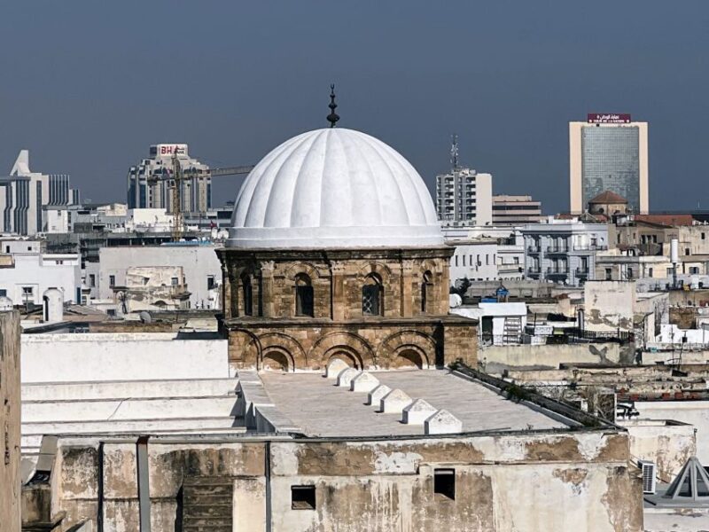 Tunis: Medina, Carthage, Sidi Bou Said, Bardo Private Tour - Transportation and Guide