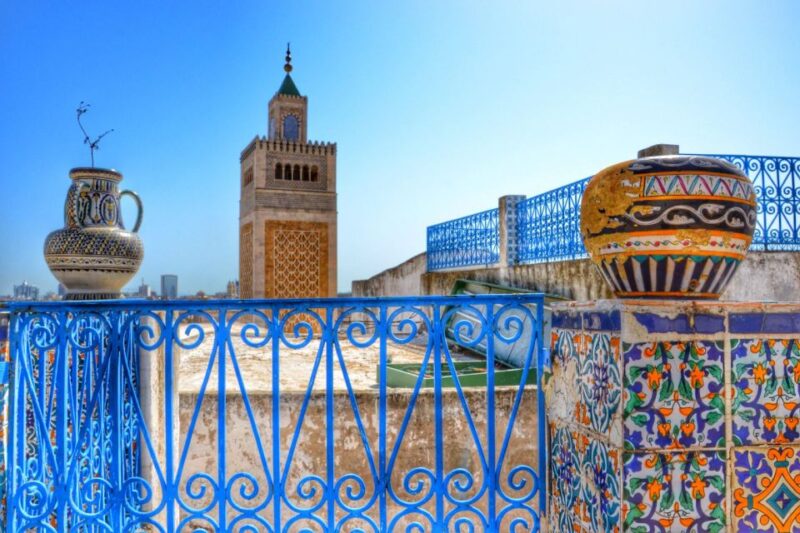 Tunis: Private Full-Day Tunis Highlights Tour - Carthage Exploration