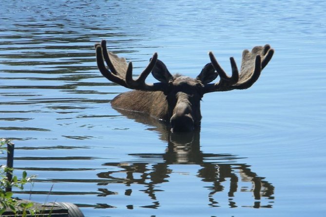 Turnagain Arm and Portage Valley Private Tour - Booking and Confirmation Process