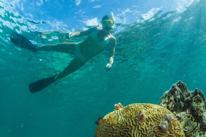 Turtle Snorkel Sail on Buck Island From Frenchmans Reef - Accessibility and Participation Requirements
