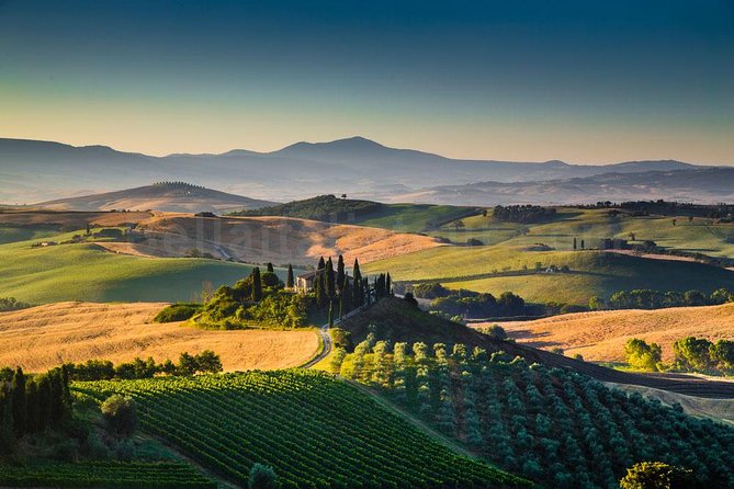 Tuscan Winery Tour and Wine Tasting  - Montecatini Terme - Booking and Confirmation