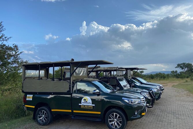 Two Days, One Night Tour: Blyde River to Kruger National Park - Day Two Highlights