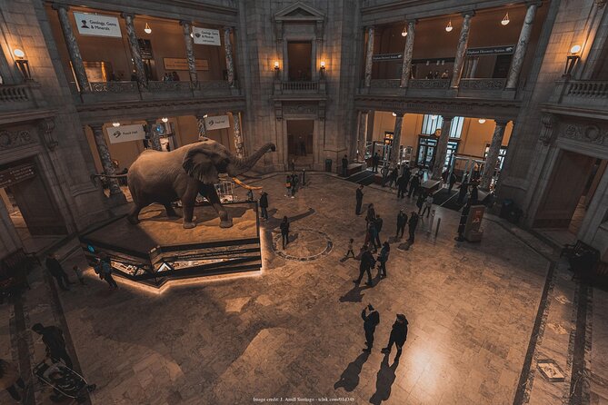 Two Smithsonian Museums: American & Natural History Private Tour - Museum Highlights