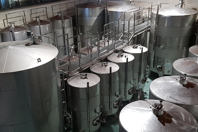 Txakoli Winery Tour Through the Coast From San Sebastian - Viator Assistance for Booking and Inquiries