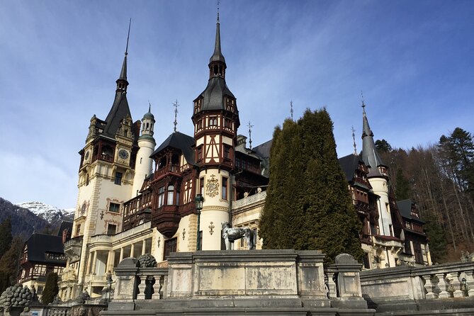 Uncover Transylvania: Private Tour Review - Bears and Nature Exploration